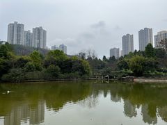 -龙头寺公园