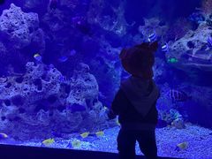 -哈尔滨波塞冬海底世界