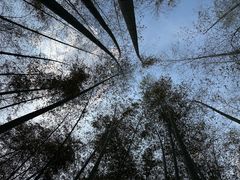 -陶祖圣境风景区