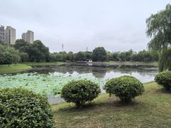 -堤角公园