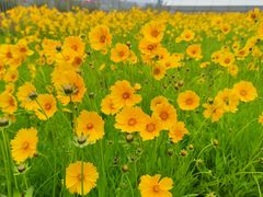 -终南山南五台景区