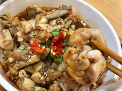 冒火牛蛙-怪物的冰与火(天虹商场中山路店)