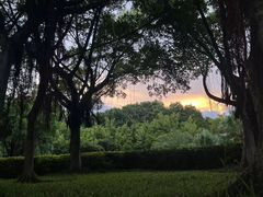 -深圳湾公园(南山区)
