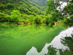 -靖西鹅泉风景区