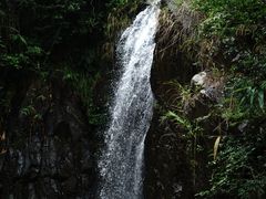 -马峦山郊野公园