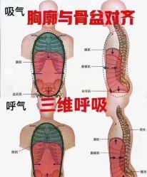 点击看大图 -昕孕瑜伽·孕妇瑜伽·产后修复