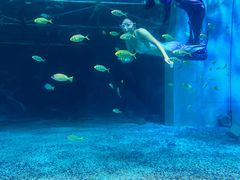 -海合安青岛极地海洋公园