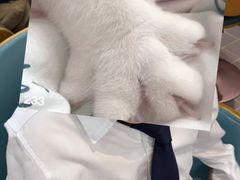 -海马体照相馆(无锡清扬茂业天地店)