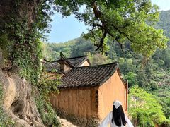 -杨家堂村
