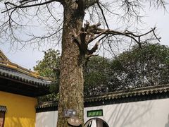 -虞山风景区
