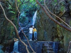 -阳台山森林公园