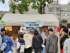 -嘉定紫藤园