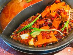 -赵美丽·重庆社区火锅·直营店(火车东站·中豪国际店)