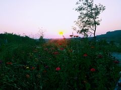 -恋山坝上草原