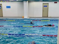 -奥体中心游泳馆