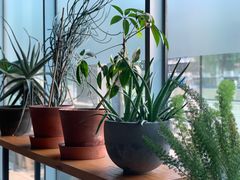 -半山腰·云南菜(侨福芳草地店)