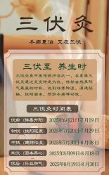 -YESIDO椰岛美容