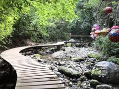 -香炉山国家森林公园