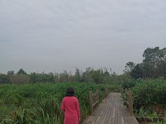 -白鹭湾湿地公园