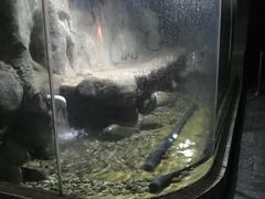 -苏州海洋馆