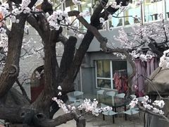 -闻道食府烙饼卷带鱼(原车耳营店原大觉寺店)