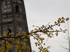 -上海佘山国家森林公园天马山园