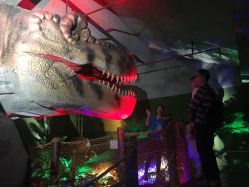 -恐龙探索乐园(磁器口店)