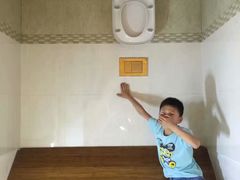 -金山农民画村-枫泾波兰倒置屋
