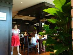 -辛德勒啤酒德餐厅