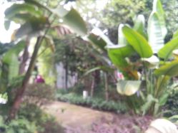 点击看大图 -莲生母婴月子中心(清水河公园店)