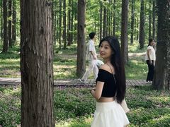 -黄海国家森林公园