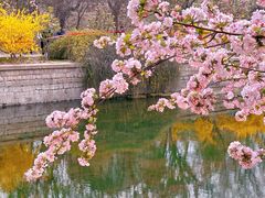 -元大都城垣遗址公园