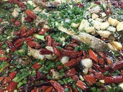 来凤鱼-东吴霸王兔(松青路店)