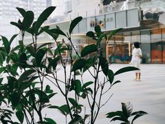 -去茶山(重庆万象城店)