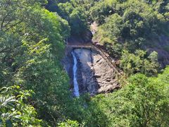 -广州白江湖森林公园