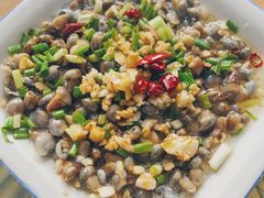 -大树下饭店(春晓镇慈岙社区卫生服务站南)