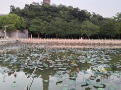 -顺峰山公园