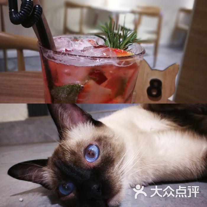 猫友咖啡店(九眼桥店)图片 第218张