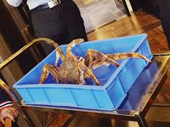 -蟹后Crabber(水悦城店)