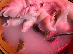 炖蹄花-羊马王英渣渣面(总店)