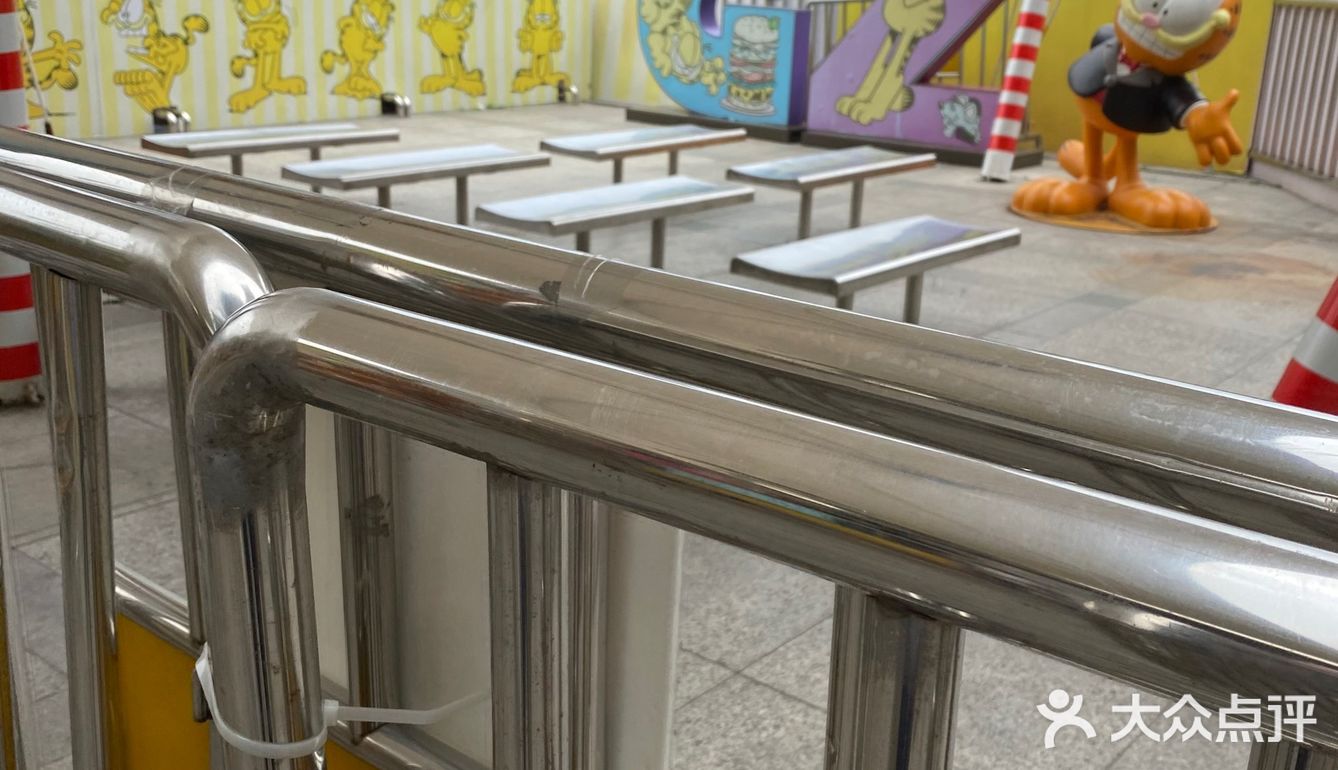 咖啡猫主题珠江游