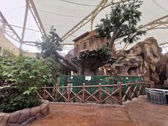 -杭州开元森泊度假乐园