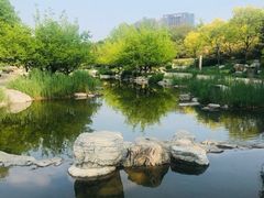 -大望京公园