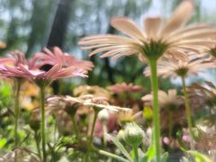 -紫竹院公园-东门停车场