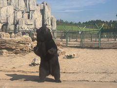 -鄂尔多斯野生动物园