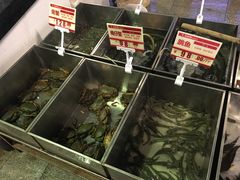 -御唐府海珊瑚主题餐厅
