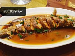 焖野生大鲈鱼-福来齐·鲁菜海鲜·渔家菜(朝阳街分店)