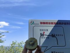 -大岭沟猕猴桃谷风景区