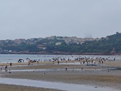 -青岛第二海水浴场