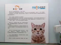 -纳吉亚猫专科动物医院博雅分院